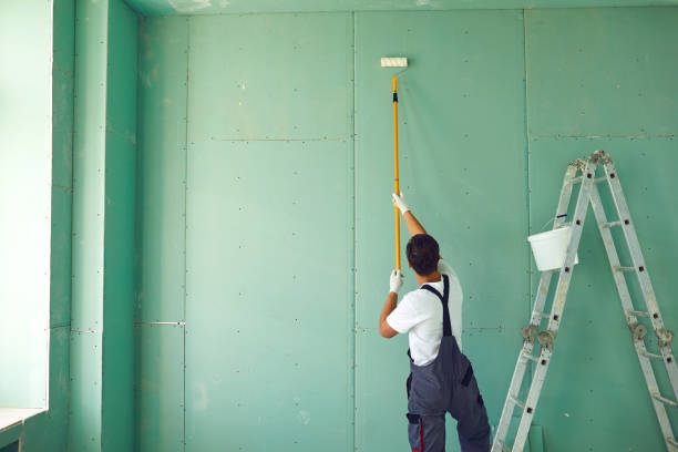 Professional Mold Removal in Lincoln Park, PA