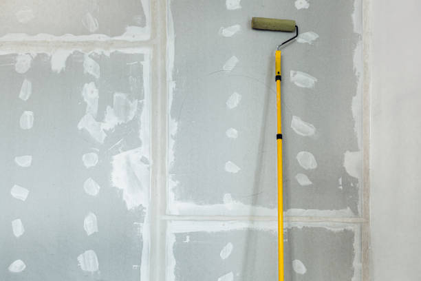 Mold Removal for HVAC Installations in Lincoln Park, PA